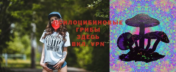 мдпв Арсеньев