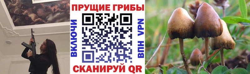 Псилоцибиновые грибы Magic Shrooms  mega сайт  Кинель 