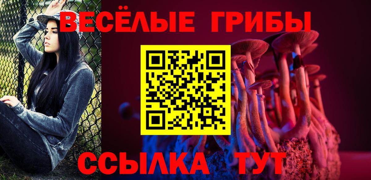 Кинель  Псилоцибиновые грибы прущие грибы  Вход с VPN 